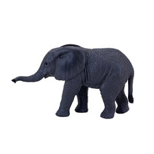 ELEPHANT CALF Wild zoo animals